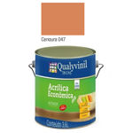 Imagen de ACR ECONOM COLOR - ZANAHORIA 3,6 LITROS