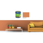 Imagen de ACR ECONOM COLOR - ZANAHORIA 3,6 LITROS