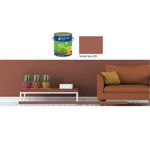 Imagen de ACR ECONOM COLOR TOMATE SECO 3,6 litros