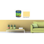 Imagen de ACR ECONOM COLOR - AMARILLO CANARIO 3,6 LITROS