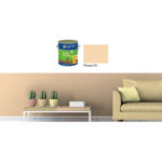 Imagen de ACR ECONOM COLOR - DURAZNO 3,6 LITROS