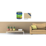 Imagen de ACR ECONOM COLOR - CAMURCA 3,6 LITROS