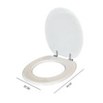 Imagen de Tapa inodoro azul en MDF con herraje metálico