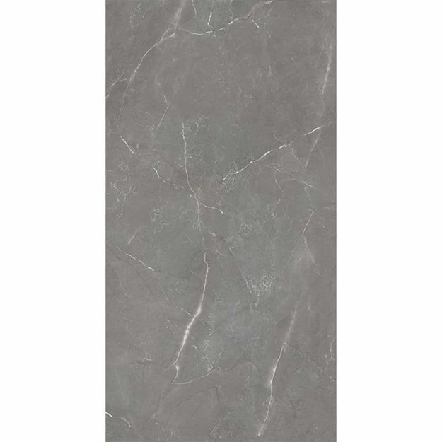 Imagen de Porcelanato para piso y pared Roma Gris 60x119 cm Pulido brillante y rectificado