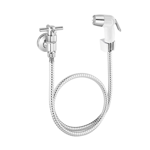 Imagen de Grifería de Ducha higiénica Fienza cromo