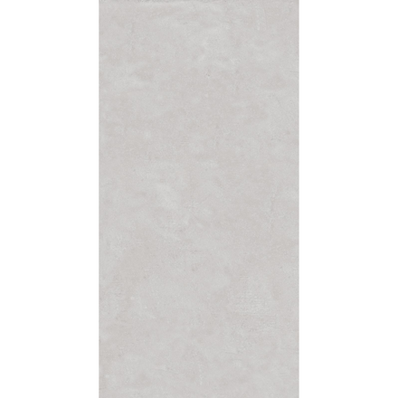 Imagen de Semigres para piso y pared Reia 55x110 cm Satinado y Rectificado