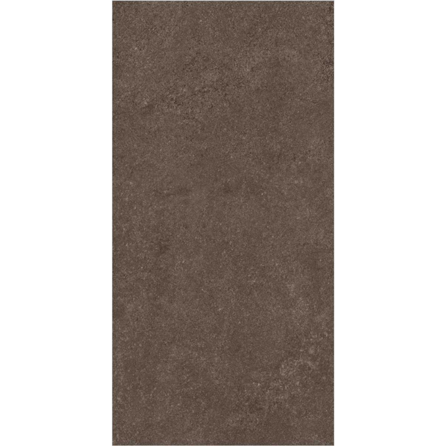 Imagen de Porcelanato para piso y pared Marvel Earth 60x120 cm Mate y Rectificado