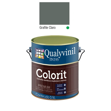 Imagen de COLORIT MATE GRAFITE CLARO 0,900 LITROS