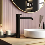 Imagen de Grifería de lavatorio Monocomando alto de mesada Fasano negro