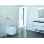 Imagen de Placa pulsadora Oli Globe Cromo mate