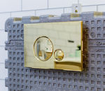 Imagen de Placa pulsadora Oli Globe Dorada