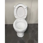 Imagen de Inodoro con mochila Capri 25 cm